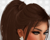 RQST Brown Ponytail Hair