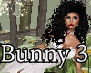 AA Bunny 3