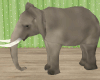 JZ Jungle Elephant