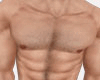 A>Perfect  Chest