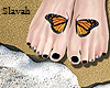 :S:Butterfly feet Tattoo
