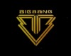 BigBang Fantasticbaby 12