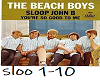 The Beach Boys