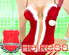 -H- Sexy Santa Top Only