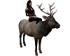 ELK CARIBOU