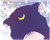 Luna cat beanie (Layer)