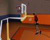 LB59s Basketball Slam Du
