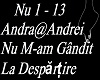 A**Andra - Andrei Banuta