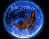blue moon spa