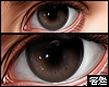 🅉 - Perfect Eyes