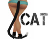 Catx3 - Black Cat Tail  