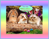 a cute easter picture