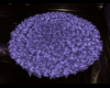 Magical rug violet