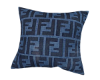 FEN * Blue Pillow 2/2