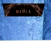 THE Bible Audio Book