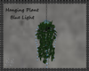 Hanging Plant Blue Light