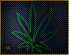 NEON WEED