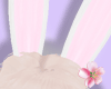 P| BunnyEars Anim