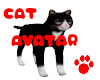 Cat Avatar