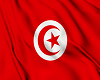 Tunisia Flag 