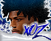 xOz Freeforms V2 '25