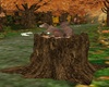 STUMP W/SQUIRRLE