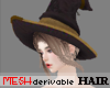 Witch + Hat