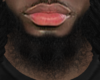 Asteri Beard #025