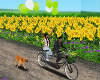 Happy Spring on Bicycle