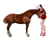FL | Kiss On Horse
