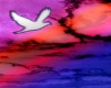 ~wz~Dove and sky PS