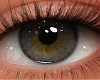 S. Eyes Eucalyptus