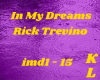 Rick Trevino-In My Dre..