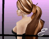 long brown ponytail
