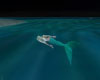 Mermaid Group Swim