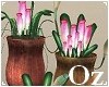 [Oz] - Plant 1