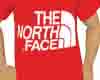 The Northe face t-shirt