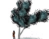 Wolf Tree