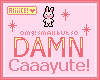 Caaayute lil bunny!<33