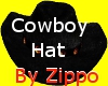 Cowboy Hat and Hair