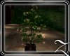 ~Z~Memories Tree Planter