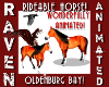OLDENBURG BAY HORSE!