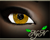 Aqua Yellow Eyes [NyN]