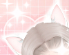 ♡ Cat Ears