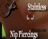 !P!Nip.Reg.stainless