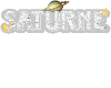 Saturnes Custom