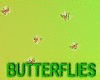 Floating Butterflies