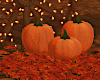 Pumpkins Deco