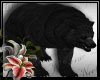 (LN)Black Bear Animate