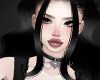 Cat Black